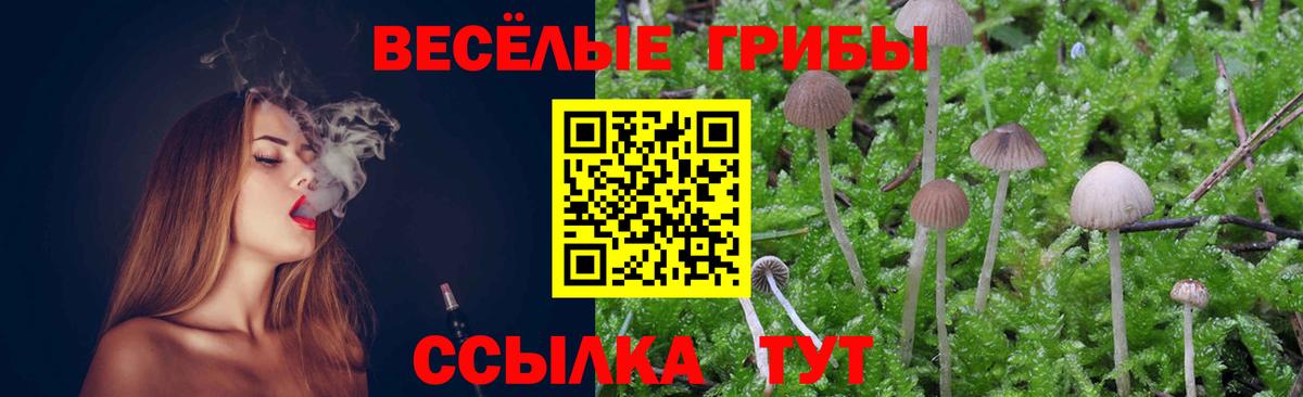 Галлюциногенные грибы Magic Shrooms  Вход с VPN  Пыть-Ях 